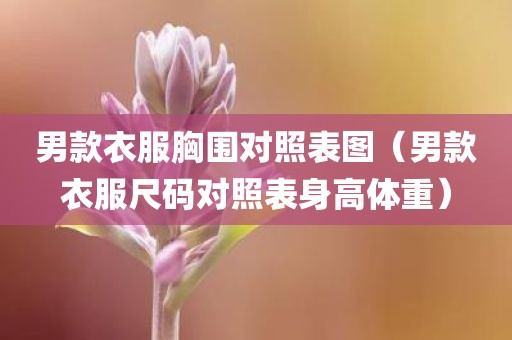男款衣服胸围对照表图（男款衣服尺码对照表身高体重）
