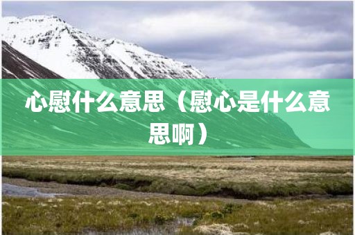 心慰什么意思（慰心是什么意思啊）