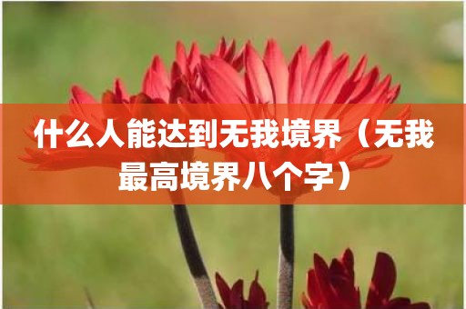 什么人能达到无我境界（无我最高境界八个字）