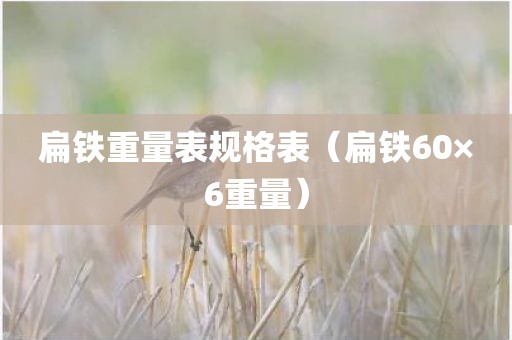扁铁重量表规格表（扁铁60×6重量）
