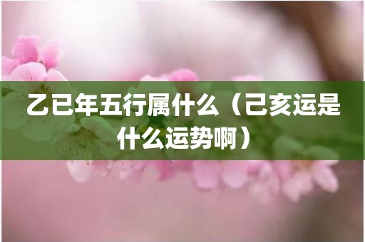 乙已年五行属什么（己亥运是什么运势啊）