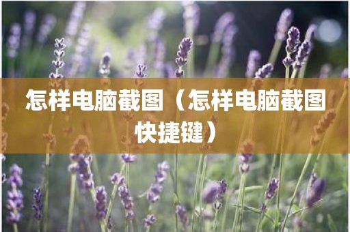 怎样电脑截图（怎样电脑截图快捷键）