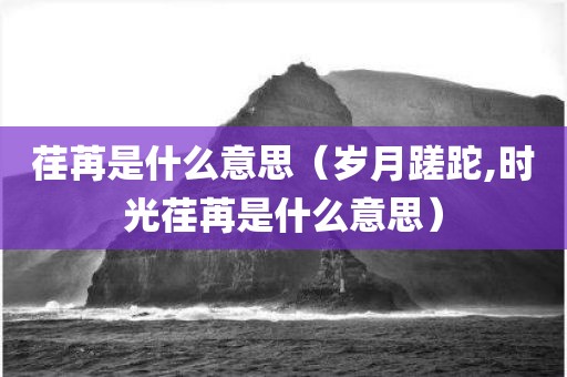 荏苒是什么意思（岁月蹉跎,时光荏苒是什么意思）