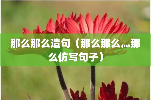 那么那么造句（那么那么灬那么仿写句子）