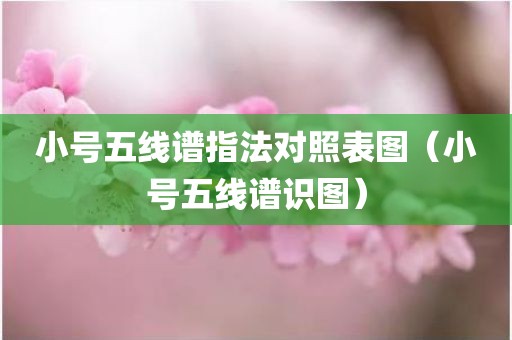 小号五线谱指法对照表图（小号五线谱识图）