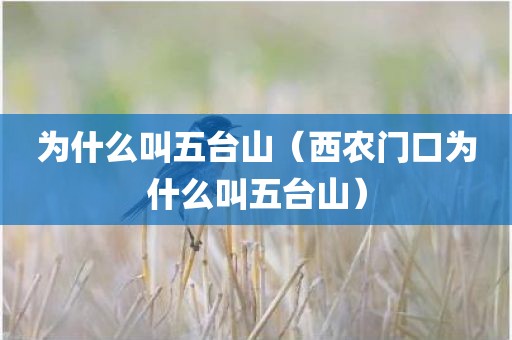 为什么叫五台山（西农门口为什么叫五台山）