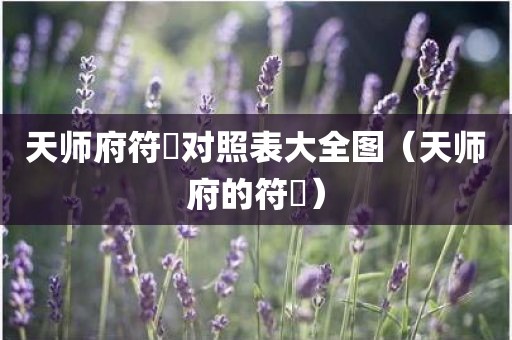 天师府符箓对照表大全图（天师府的符箓）