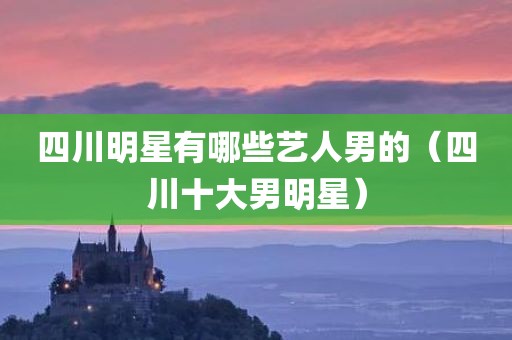 四川明星有哪些艺人男的（四川十大男明星）