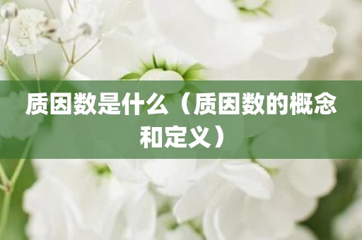 质因数是什么（质因数的概念和定义）