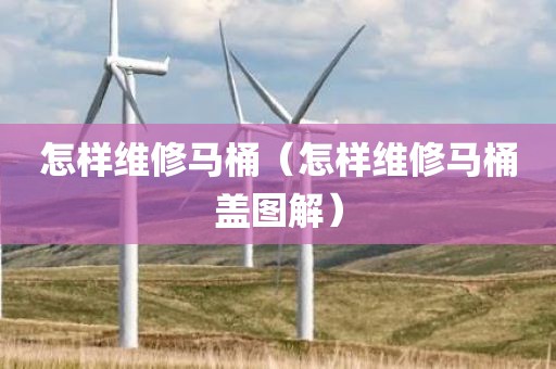 怎样维修马桶（怎样维修马桶盖图解）