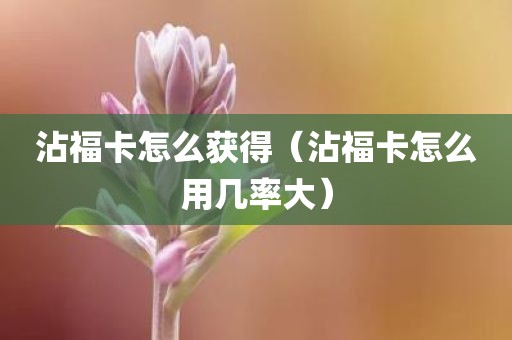 沾福卡怎么获得（沾福卡怎么用几率大）