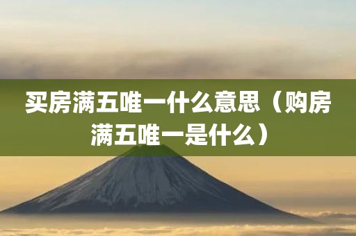 买房满五唯一什么意思（购房满五唯一是什么）