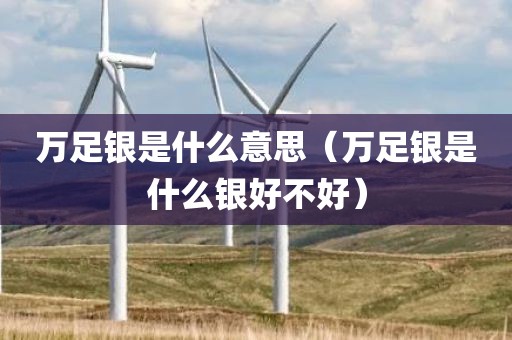万足银是什么意思（万足银是什么银好不好）
