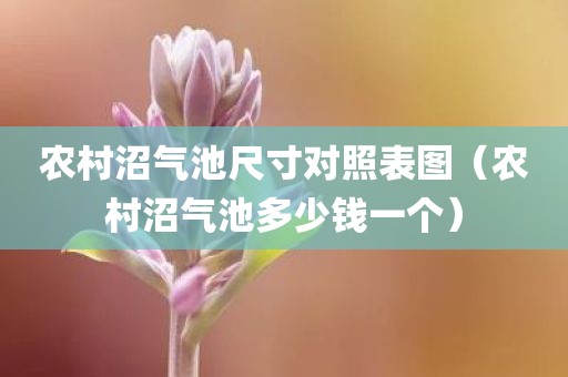 农村沼气池尺寸对照表图（农村沼气池多少钱一个）