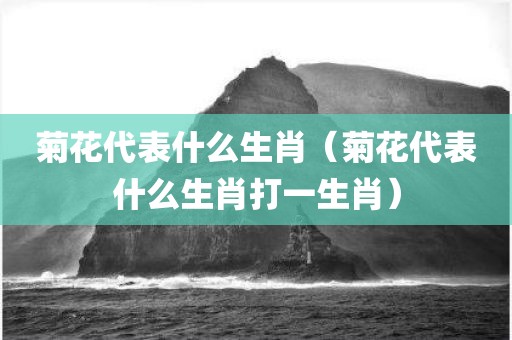 菊花代表什么生肖（菊花代表什么生肖打一生肖）