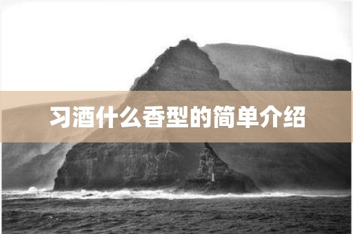习酒什么香型的简单介绍