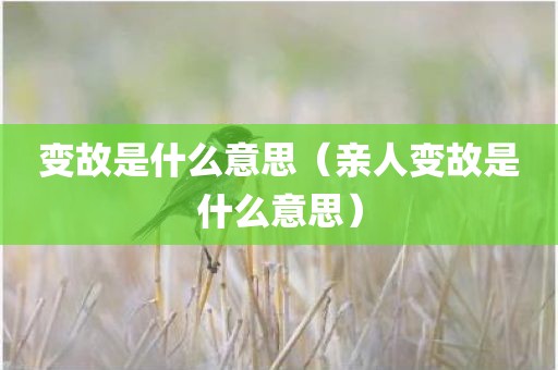 变故是什么意思（亲人变故是什么意思）
