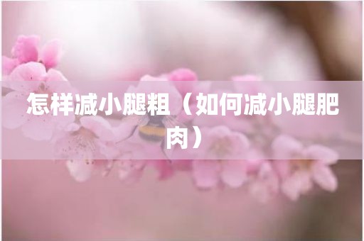 怎样减小腿粗（如何减小腿肥肉）
