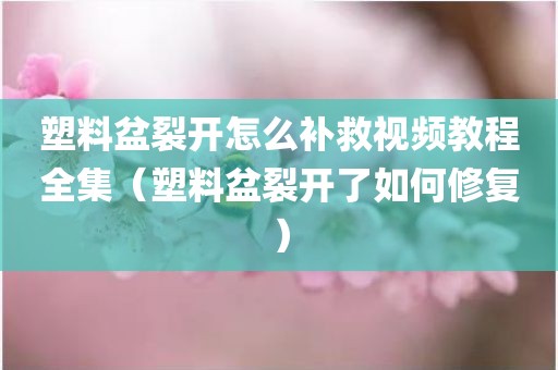 塑料盆裂开怎么补救视频教程全集（塑料盆裂开了如何修复）