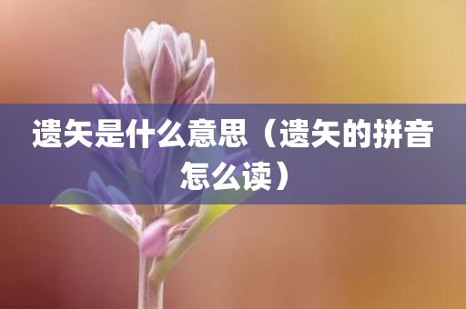 遗矢是什么意思（遗矢的拼音怎么读）