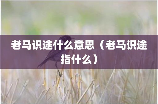 老马识途什么意思（老马识途指什么）