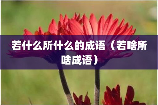 若什么所什么的成语（若啥所啥成语）