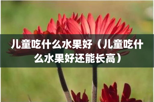 儿童吃什么水果好（儿童吃什么水果好还能长高）