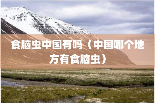 食脑虫中国有吗（中国哪个地方有食脑虫）