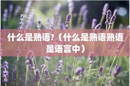 什么是熟语?(什么是熟语熟语是语言中)
