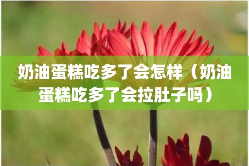 奶油蛋糕吃多了会怎样（奶油蛋糕吃多了会拉肚子吗）