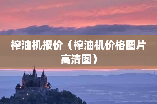 榨油机报价（榨油机价格图片高清图）