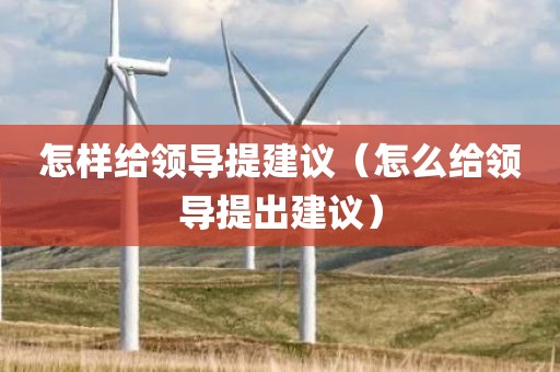 怎样给领导提建议（怎么给领导提出建议）