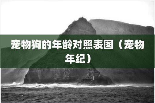 宠物狗的年龄对照表图（宠物年纪）
