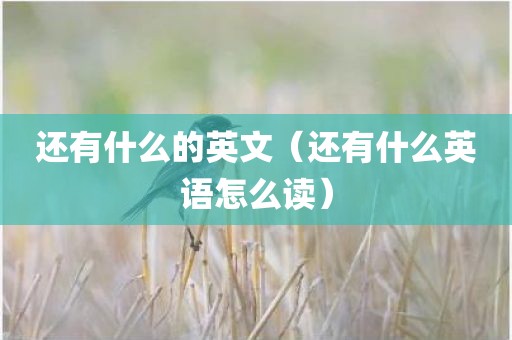 还有什么的英文（还有什么英语怎么读）