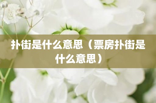扑街是什么意思(票房扑街是什么意思)