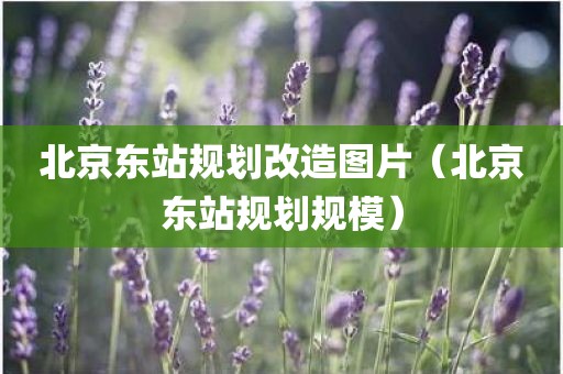 北京东站规划改造图片（北京东站规划规模）