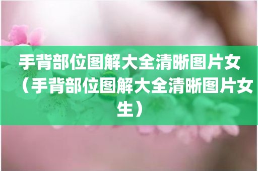 手背部位图解大全清晰图片女（手背部位图解大全清晰图片女生）