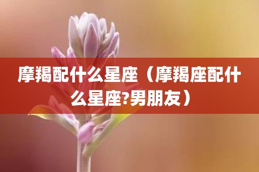 摩羯配什么星座（摩羯座配什么星座?男朋友）