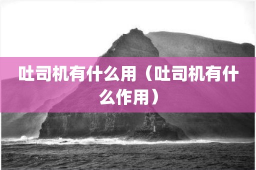 吐司机有什么用（吐司机有什么作用）