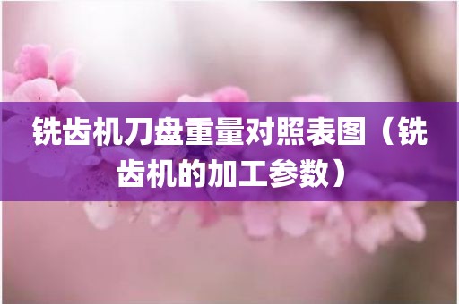 铣齿机刀盘重量对照表图（铣齿机的加工参数）