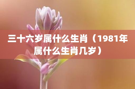 三十六岁属什么生肖（1981年属什么生肖几岁）