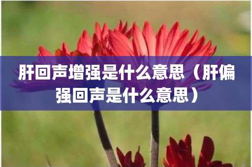 肝回声增强是什么意思（肝偏强回声是什么意思）