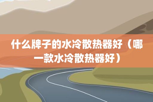 什么牌子的水冷散热器好（哪一款水冷散热器好）