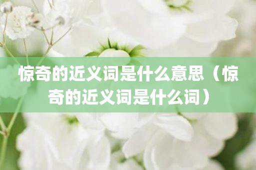 惊奇的近义词是什么意思(惊奇的近义词是什么词)