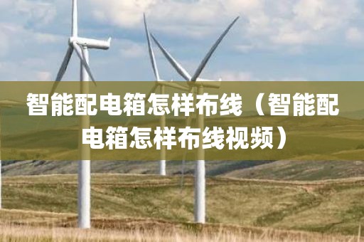 智能配电箱怎样布线（智能配电箱怎样布线视频）