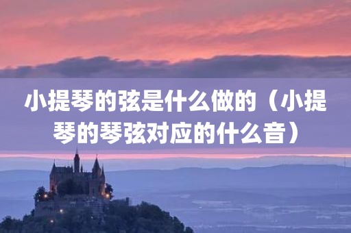 小提琴的弦是什么做的（小提琴的琴弦对应的什么音）