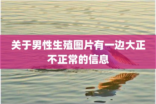 关于男性生殖图片有一边大正不正常的信息