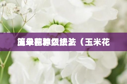 玉米花怎么织法（玉米花简单四种织法）