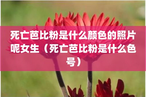 死亡芭比粉是什么颜色的照片呢女生(死亡芭比粉是什么色号) 死亡芭比粉是什么颜色的照片呢女生(死亡芭比粉是什么色号)