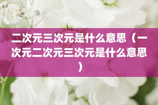 二次元三次元是什么意思（一次元二次元三次元是什么意思）